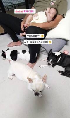 『やっと帰ってきた！』おじいちゃんの帰宅を心待ちにしていた3匹の犬…双子の赤ちゃんと一緒に寄り添う姿が12万回再生「みんな可愛い」と絶賛