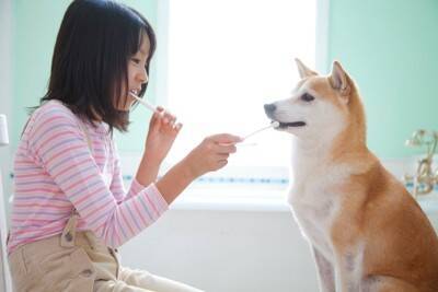 犬が『歯磨きを拒否』する理由5つ　スムーズにお手入れするためのコツとは？
