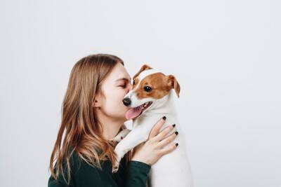 犬の『ペットシーツ』活用方法6選　意外と知られていない暮らしの中で役立つアイデアとは？