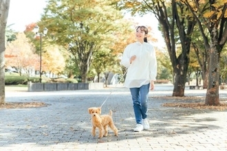 犬の『リード』正しい使い方5選　安全に使用するために押さえておきたいポイントまで