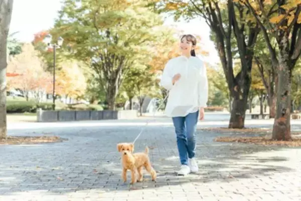 犬の『リード』正しい使い方5選　安全に使用するために押さえておきたいポイントまで