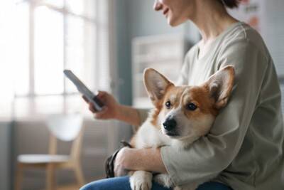犬から『溺愛される』飼い主の特徴5選　愛犬から好かれる人の共通点や信頼関係を築くコツまで