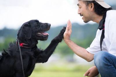 犬から『溺愛される』飼い主の特徴5選　愛犬から好かれる人の共通点や信頼関係を築くコツまで