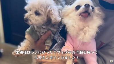 10歳の老犬が『飼い主の入院』で1ヶ月以上ペットホテルに…涙あふれる『感動的な結末』が5万再生「本当によかった」「幸せになってね」