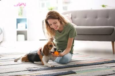 犬の『基本のしつけ』ってどういうもの？「おすわり」「まて」を教えるより前に大切にすべき3つのこと