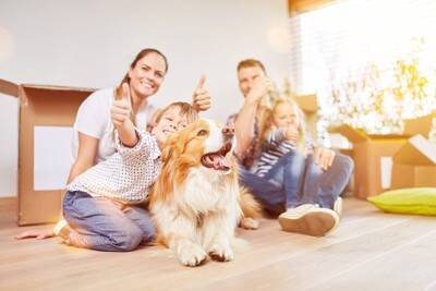 犬の『基本のしつけ』ってどういうもの？「おすわり」「まて」を教えるより前に大切にすべき3つのこと