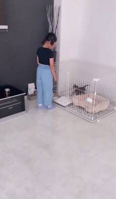 娘2人に『帰ったら子犬がいるサプライズ』してみた結果…まさかの反応が可愛すぎると11万再生「固まっちゃったｗ」「ホッコリした」と絶賛