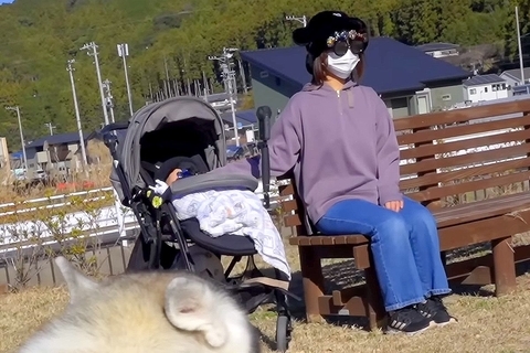 『変装した母が道端にいたら、大型犬たちは気付くのか？』を検証→絶対にわかると思ったら…まさかの結末が23万再生「残念すぎｗｗ」「可愛い」