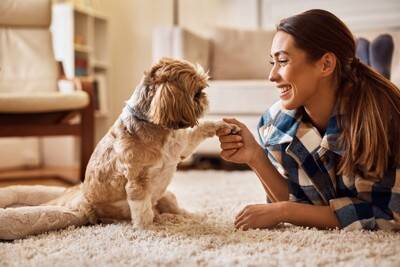 犬の足にあらわれる『危険な症状』5選　見逃したくない病気のサインとは？
