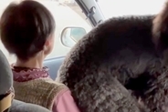 30キロの大型犬が『観覧車』を怖がった結果→車で『80歳のおばあちゃん』に助けを求め…自分のサイズが分かっていない光景に38万再生の反響