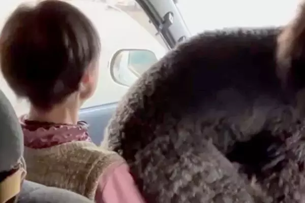 30キロの大型犬が『観覧車』を怖がった結果→車で『80歳のおばあちゃん』に助けを求め…自分のサイズが分かっていない光景に38万再生の反響