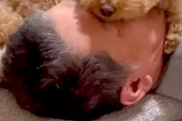 『息できてる？』寝ているパパの布団に、犬が乗ってきて…思わず心配してしまう『まさかの光景』が123万再生「固定してるｗ」「大きな目隠し」