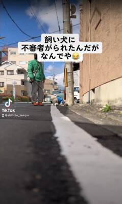 散歩中の犬をスマホで撮影していたら、不審者と間違われ…まさかの『辛辣すぎる反応』が4万再生「めっちゃ警戒してて草」「笑いすぎて涙出たｗ」