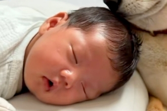 赤ちゃんが泣いていると『大丈夫？』と近づいてくる犬→何かあるとすぐに駆け付け…あまりにも尊い『母性溢れる光景』に反響「優しい」「泣ける」