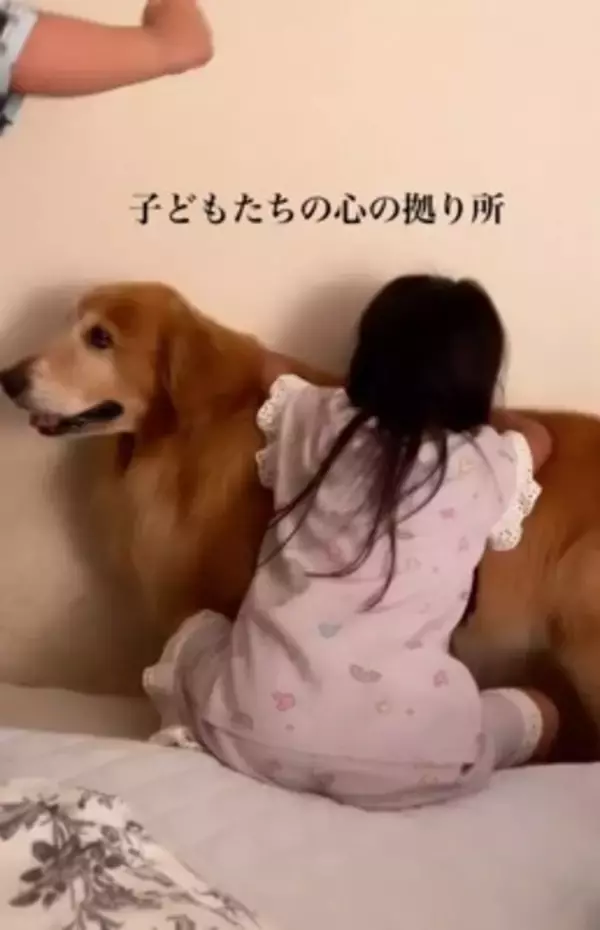 子供2人が喧嘩をしたら、大型犬が…感動的な『優しすぎる対応』が17万再生「心のよりどころ」「私も犬に抱きついて泣いた」共感と絶賛の声