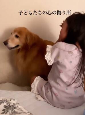 子供2人が喧嘩をしたら、大型犬が…感動的な『優しすぎる対応』が17万再生「心のよりどころ」「私も犬に抱きついて泣いた」共感と絶賛の声