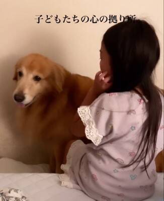 子供2人が喧嘩をしたら、大型犬が…感動的な『優しすぎる対応』が17万再生「心のよりどころ」「私も犬に抱きついて泣いた」共感と絶賛の声
