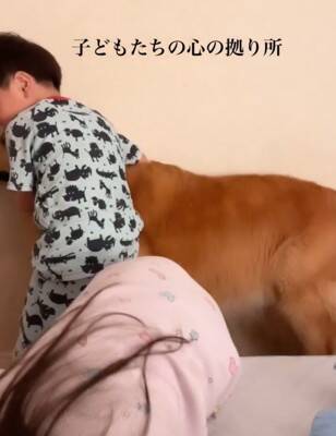 子供2人が喧嘩をしたら、大型犬が…感動的な『優しすぎる対応』が17万再生「心のよりどころ」「私も犬に抱きついて泣いた」共感と絶賛の声