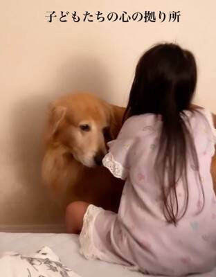 子供2人が喧嘩をしたら、大型犬が…感動的な『優しすぎる対応』が17万再生「心のよりどころ」「私も犬に抱きついて泣いた」共感と絶賛の声