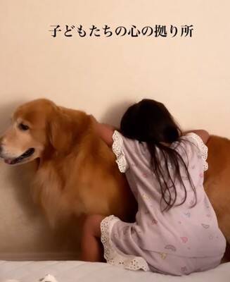 子供2人が喧嘩をしたら、大型犬が…感動的な『優しすぎる対応』が17万再生「心のよりどころ」「私も犬に抱きついて泣いた」共感と絶賛の声