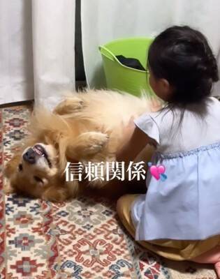 子供2人が喧嘩をしたら、大型犬が…感動的な『優しすぎる対応』が17万再生「心のよりどころ」「私も犬に抱きついて泣いた」共感と絶賛の声