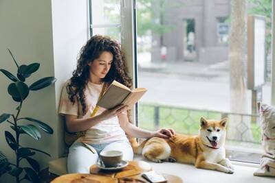 柴犬がみせる特有の行動『柴距離』とは？飼い主が必ず知っておくべきパーソナルスペースまで