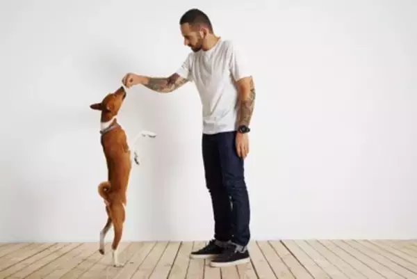 犬が『飛び跳ねる』理由とは？ピョンピョン跳ねるデメリットや対策まで