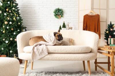 犬が死ぬかもしれない『暖房の使い方』６選　飼い主がやりがちな危険行為とは？