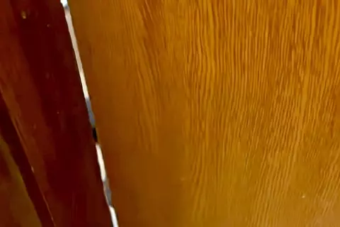 トイレに入っていたら、大型犬に閉じ込められてしまった男性→ドアの隙間を覗くと…『衝撃的な光景』が27万再生「共犯者いて草」「大爆笑ｗｗ」