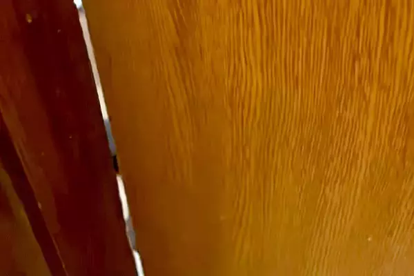 トイレに入っていたら、大型犬に閉じ込められてしまった男性→ドアの隙間を覗くと…『衝撃的な光景』が27万再生「共犯者いて草」「大爆笑ｗｗ」