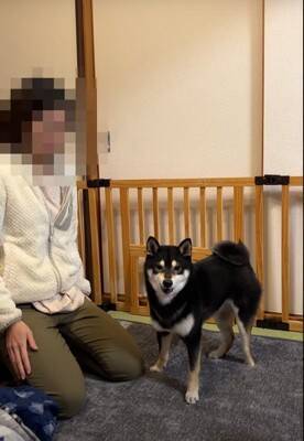犬の気を逸らそうとしたら…まるでコントのような『勘違い』が293万再生　爆笑の展開に「冤罪で草」「声出して笑った」と多くの反響