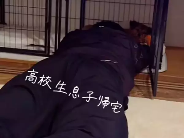 犬を愛している『高校生の息子』が帰宅→突然ケージで寝転がり…まさかの展開で見せた『ワンコの反応』が118万再生「訴えてるｗ」「可愛すぎ」