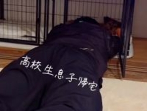 犬を愛している『高校生の息子』が帰宅→突然ケージで寝転がり…まさかの展開で見せた『ワンコの反応』が118万再生「訴えてるｗ」「可愛すぎ」
