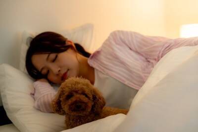 犬が『布団を好む』理由５選　一緒に寝たがる心理や意外と知らないリスクまで解説