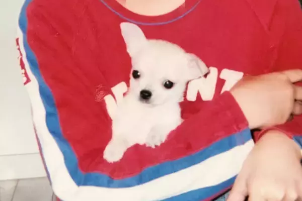 幼稚園から高校生まで、相棒のように一緒に育った犬→突然の別れが訪れ…一生色あせない『12年間の記憶』に感動「涙が止まらん」「大号泣した」