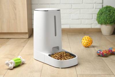 犬が『ご飯を欲しがっている』ときにみせるサイン7つ　愛犬からの要求にどう対応したらいいの？