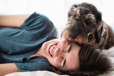 犬は人間が『糖尿病』かどうかを判断することができる？患者の命を救うかもしれないスキルとは