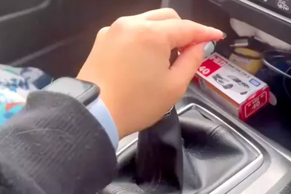 車で出かけようとする女性→シフトレバーを握ると『助手席に乗った大型犬』が…『まさかの行動』が30万再生「妨害してて草」「可愛いたまらん」