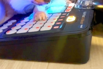 『DJをする犬』音楽をかけ、ノリノリで犬を撮影してみた結果→思わず笑ってしまう『まさかの光景』に「めっちゃパリピ犬ｗｗ」「可愛い」の声