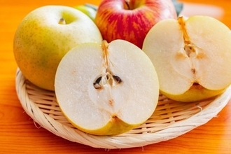 愛犬と一緒に味わえる『秋の味覚』5選　与えるメリットや量の目安、注意すべきことまで