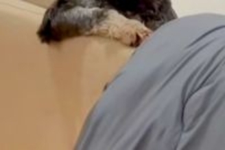 仕事で帰りが少し遅くなった結果→待っていた犬たちの『姿勢』が…思わず二度見する『まさかの光景』に爆笑の声「大物感あって草」「人間？ｗ」