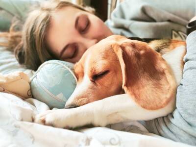 犬が飼い主と『一緒に寝てくれない』理由５選　見直すべき睡眠環境や愛犬の本音まで解説