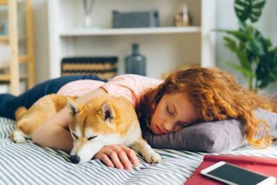 犬が飼い主と『一緒に寝てくれない』理由５選　見直すべき睡眠環境や愛犬の本音まで解説