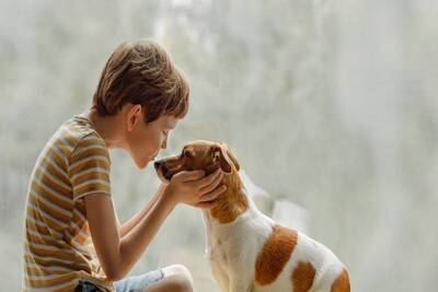 犬が『困っている』ときにみせる行動4選　見逃したくないSOSサインや飼い主がすべきことまで