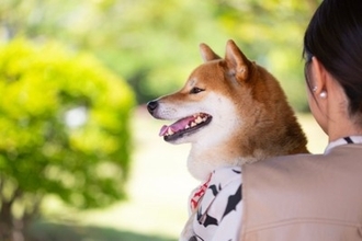 犬の『免疫力』を高める方法5選　愛犬が体調を崩してしまう原因や改善策まで