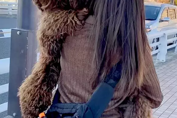 『歩きたくない』と駄々をこねる大型犬→仕方なく抱っこしたら…自分の大きさを理解していない『子供のような光景』に反響「可愛い甘えん坊さん」