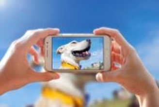 犬に『カメラのフラッシュ』危険な理由4つ　愛犬の目に与える悪影響とは？