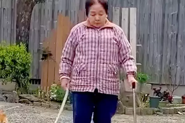杖をつくおばあちゃんが『犬のリードを持った』結果→『引っ張らないかな』と見ていたら…感動的な光景が35万再生「泣いた」「お利口で優しい」