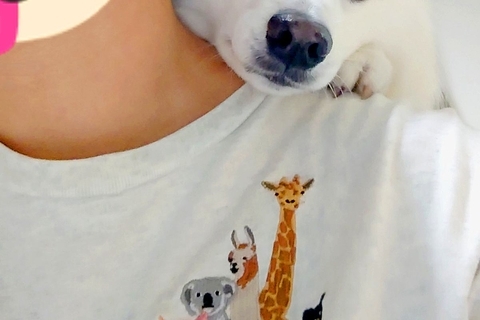 スイカを食べている女性→背後から犬が『ちょうだい』とアピールして…絶対にあげてしまう『要求の仕方』に反響「抵抗できない」「あざとすぎる」