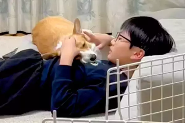 息子と一緒に寝転がっている犬に『ママと寝る？』と声を掛けた結果→どちらと眠るか悩んで…尊い結末が54万再生「優しさの塊」「ほっこり」